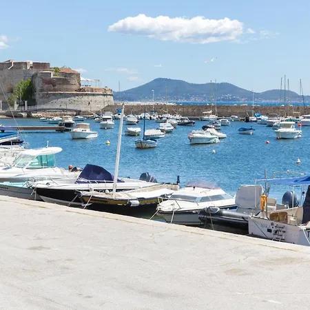 Les Palmiers Toulon